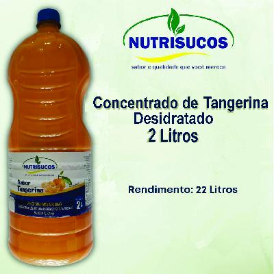 Imagem de Sucos Concentrado 2 Litros