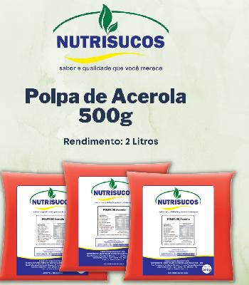 Imagem de Polpas de Frutas 500g