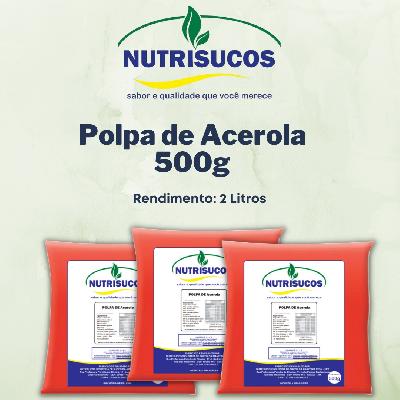 Imagem de Polpas de Frutas 500g