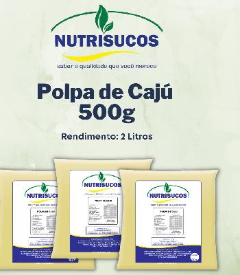 Imagem de Polpas de Frutas 500g