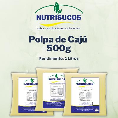 Imagem de Polpas de Frutas 500g