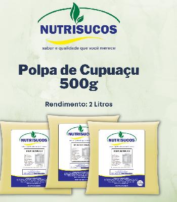 Imagem de Polpas de Frutas 500g