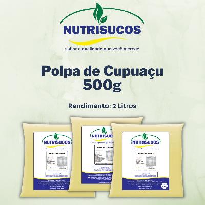 Imagem de Polpas de Frutas 500g