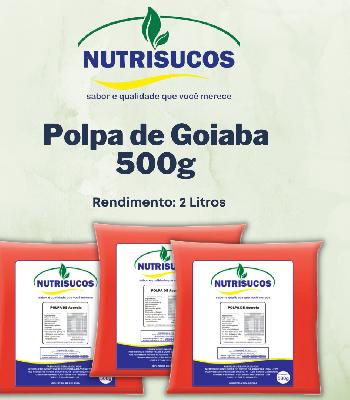 Imagem de Polpas de Frutas 500g