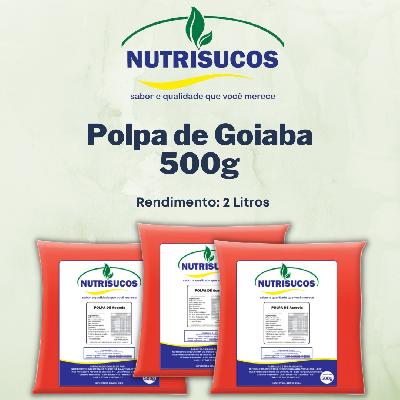 Imagem de Polpas de Frutas 500g