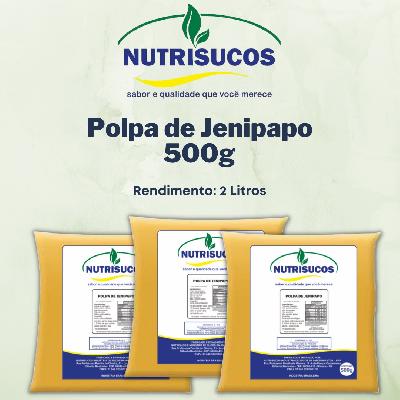 Imagem de Polpas de Frutas 500g